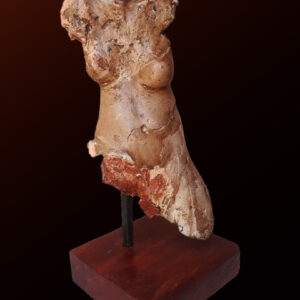 Female Study 15