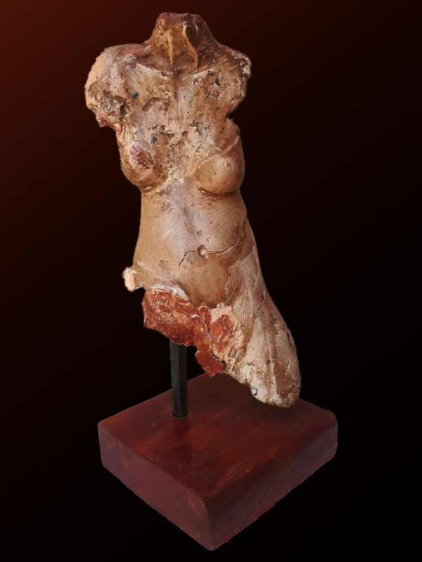 Female Study 15