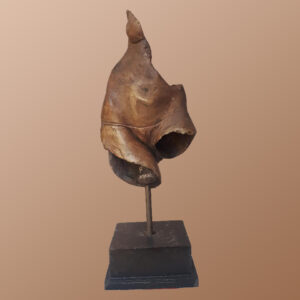 Female Study 5