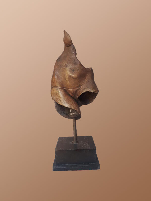 Female Study 5