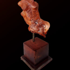 Salt Water Stone Study 4