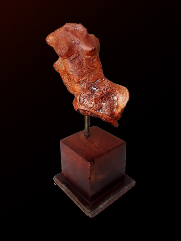 Salt Water Stone Study 4