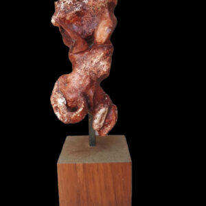 Saltwater Stony (Study 2)